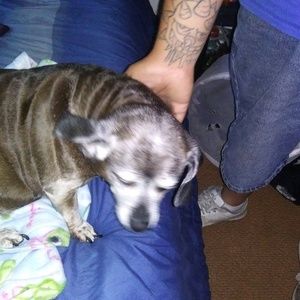 Meet your Posher, Timothy